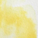 Lemon Yellow Deep